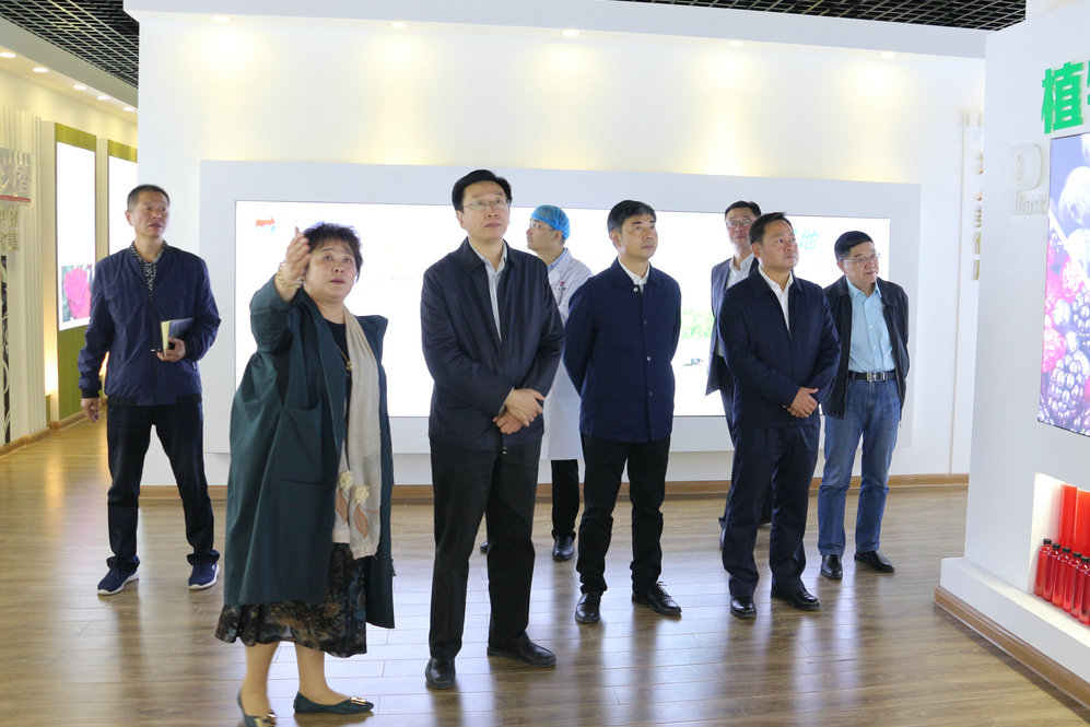 2020年11月2日省政府食安辦副主任，省市場(chǎng)監(jiān)督管理局副局長(zhǎng)王建防到公司調(diào)研指導(dǎo)工作.JPG